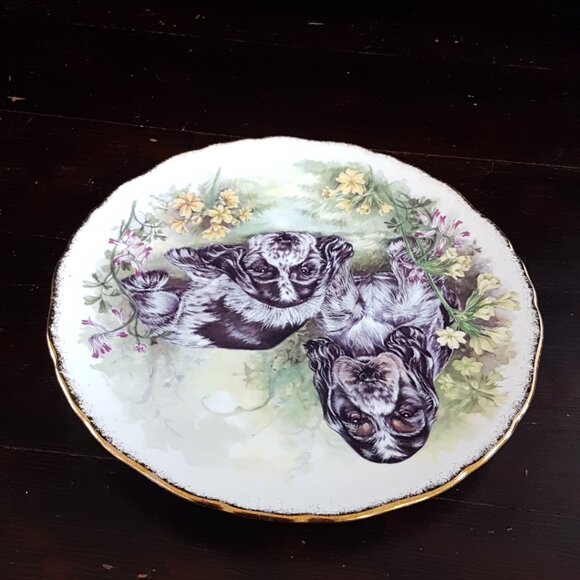 Vintage Royal Kent Cocker Spaniel Puppy Bone China Collector Plate - Picture 6 of 7